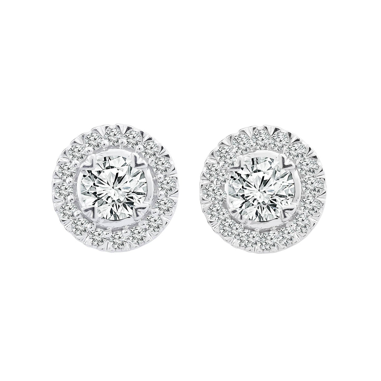 Halo Stud Earrings with 0.50ct Diamonds in 9K White Gold - EF-5121-W
